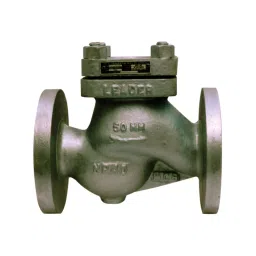 Leader 6 Inch,150 mm Cast Carbon Steel Horizontal Lift Check Valve CCS 011-picture-39
