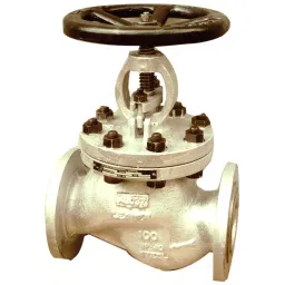 Leader Cast-Carbon Steel Globe Valve 65 mm 60 BAR Pn 40-picture-10