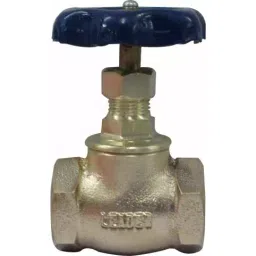 Leader Gun Metal Globe Valve 65 mm 24 Bar Pn 16-picture-27