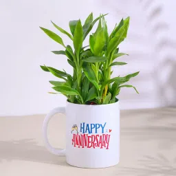 Leafy Bamboo Plant In Anniversary Mug-picture-28
