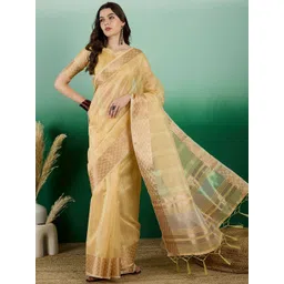Leeza Store Striped Sequinned Organza Banarasi Saree-picture-10