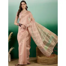 Leeza Store Striped Sequinned Organza Banarasi Saree-picture-14