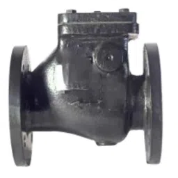 Lehry Valves 100mm DuctiIe Iron PN16 Swing Check Type Reflux Valve with ISI Mark, LIV-RFV-DI-003-picture-13