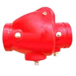 Lehry Valves 80mm Ductile Iron Grooved End Swing Check Valve, LIV-CHK-DI-DI-006-picture-25