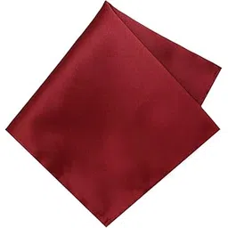 leonardi Men's Solid Pocket Square | 30cm x 30cm | Wine | Satin | Microfiber | Pack of 1 |-picture-24