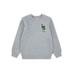 Levis Boys Cotton Long Sleeves Tshirts-picture-48