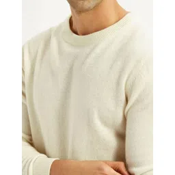 Levis Men Woollen Pullover image 4