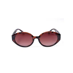 Levi's Women Outlook Brown Oval Sunglasses-picture-14