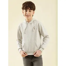 Lil Tomatoes Boys Grey Solid Sweatshirt-picture-21