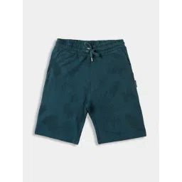 Lil Tomatoes Kids Teal Printed Bermuda-picture-37
