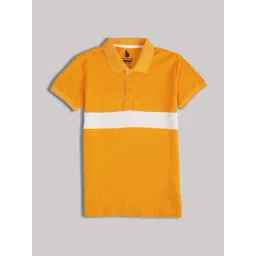 lil tomatoes Li'l Tomatoes Boys Mustard Cotton Regular Fit Striped Polo T-Shirt-picture-38