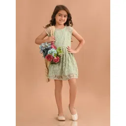 LilPicks Kids Light Green Lace Fit & Flare Dress-picture-13