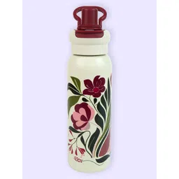 Little Surprise Box LLP Maroon & Cream-Coloured Single Stainless Steel Printed Single Wall Vacuum Water Water Bottle-picture-40