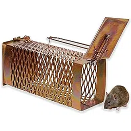 Live Mouse Trap Cage, 21 x 8 x 8 cm, Humane Catch and Release, for Home Kitchen Garden-picture-26