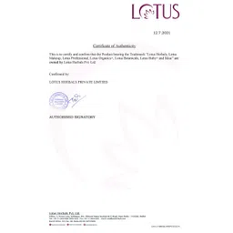 Lotus Herbals Set Of 2 Safe Sun DeTan After-Sun Face Pack - 100g Each image 2