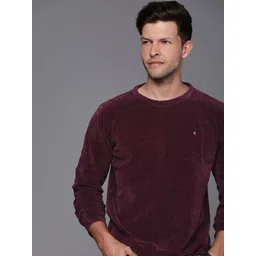 Louis Philippe Jeans Solid Long Sleeves Pullover Sweaters-picture-20