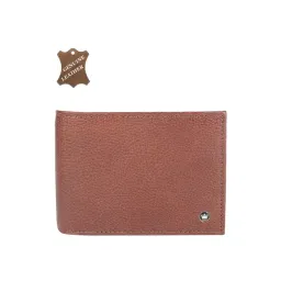 Louis Philippe Brown Leather Casual Bi-Fold Wallet for Men-picture-36