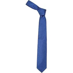 louis philippe Men Blue Embroidered Tie-picture-34
