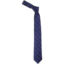 louis philippe Men Blue Embroidered Tie-picture-33
