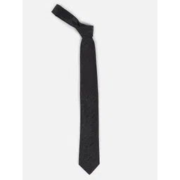 Louis Philippe Men Striped Broad Tie-picture-19
