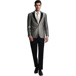 louis philippe Men Suit - Dress Set-picture-55