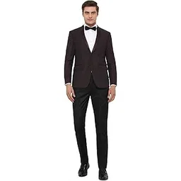 louis philippe Men Suit - Dress Set-picture-26
