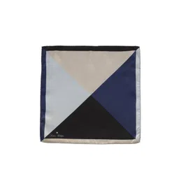 Louis Philippe Men White & Blue Colorblocked Pocket Squares-picture-21