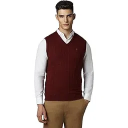 louis philippe Men's Acrylic Blend Casual V-Neck Sweater-picture-19