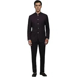 louis philippe Men's Polyester Blend Two Piece Suit-Dress Set-picture-28