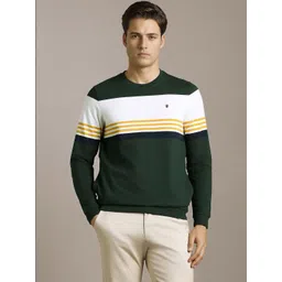 Louis Philippe Sport Men Striped Sweatshirt-picture-19