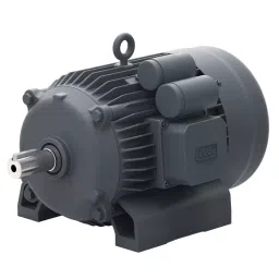 Lubi Single Phase 3 HP B5 Flange Mounted Special Motors, MMS03005-picture-43