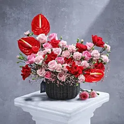 Luxe Rosy Enchantment-picture-37