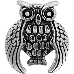 m men style Bikers Mens Jewelry Owl Eye Ring Silver And Blue Stainless Steel Ring For Men And Women SRi202119-picture-49