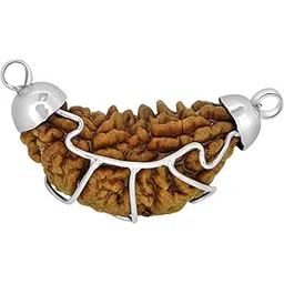 Maalavya Wooden Real Rudraksha Beads with Certificate (Brown, 1 Mukhi)-picture-29