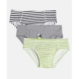 Mackly Boys Pack Of 3 Striped Briefs - Green Grey-picture-38