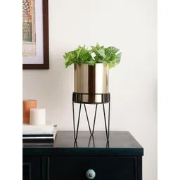 Maison Modern TriFlora Haven Gold-Toned 2 Pieces Stainless Steel Planter With Arbor-picture-28