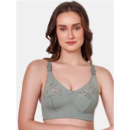 MAROON Lace Non Padded All Day Comfort Full Coverage Cut & Sew Super Support T-shirt Bra-picture-15