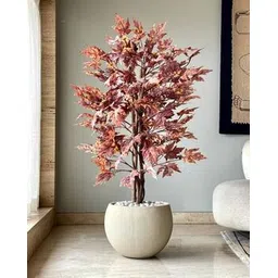 mason home Artificial Canadian Maple Plant-picture-26