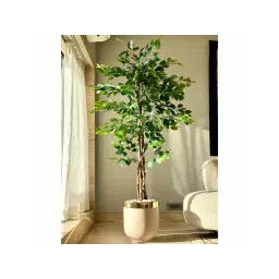 Mason Home Artificial Dried Ficus Plant - 7 Feet-picture-25
