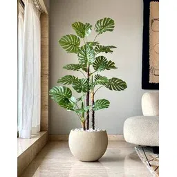 mason home Artificial Dual Monstera Plant - 5 Feet-picture-23