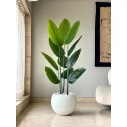 Mason Home Artificial Lush Travellers Palm - 5 Feet-picture-30