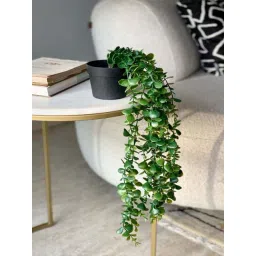 Mason Home Green Pvc Artificial Climing Fig Succulents (Set Of 2)-picture-15