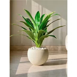 Mason Home Green Pvc Artificial Plant-picture-35