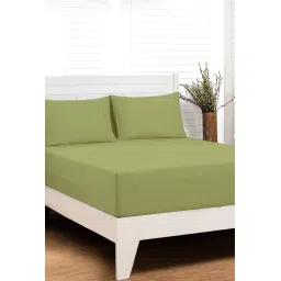 Maspar Green 100% Cotton 200 TC Bed Sheet Set image 2