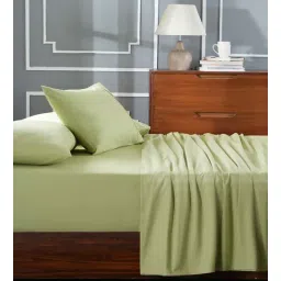 maspar Green Solid 144 TC 100% Cotton King Bedsheet with 2 Pillow Covers-picture-10