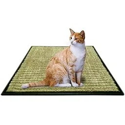 MATS AVENUE DOOR MATS AT YOUR DOOR STEP Cat Scratch Mat Claw Pad and Sleeping Mat Large Natural Coir and Rubber Brown Color, 45x45 CM Set of 1 with 5 Grams Catnip Dried Leaves-image-6
