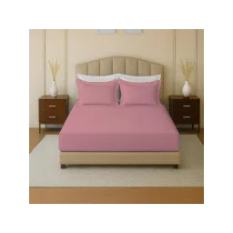 Mayfair Homes London 100 % Cotton 144Tc King Size Fitted Bedsheet Set With 2 Pillow Covers-picture-27