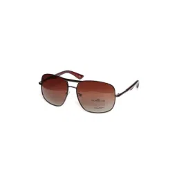 Mayhem MAYS-1025-203L Brown Square Sunglesses-picture-22