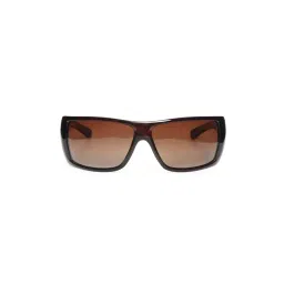 Mayhem MAYS-1055-102 Brown Wraparound Sunglesses-picture-29