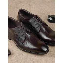 Metro Brown Derby Shoes-picture-33